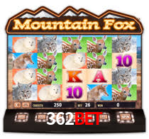 362bet: Seu Especialista em Apostas Esportivas Brasileiras